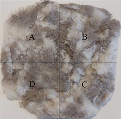 Intra- and Inter-sample Variation in Wool Cortisol Concentrations of Australian Merino Lambs Between Twice or Single Shorn Ewes